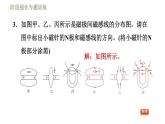 沪科版九年级下册物理习题课件 第17章阶段强化专题训练（七）专训1 电磁作图