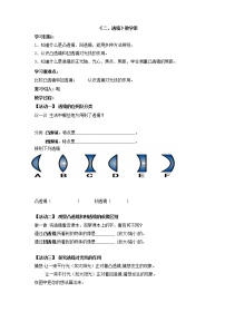 苏科版八年级上册4.2 透镜学案及答案