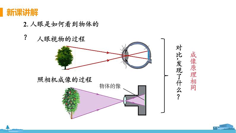 第4节 照相机与眼球 视力的矫正第8页