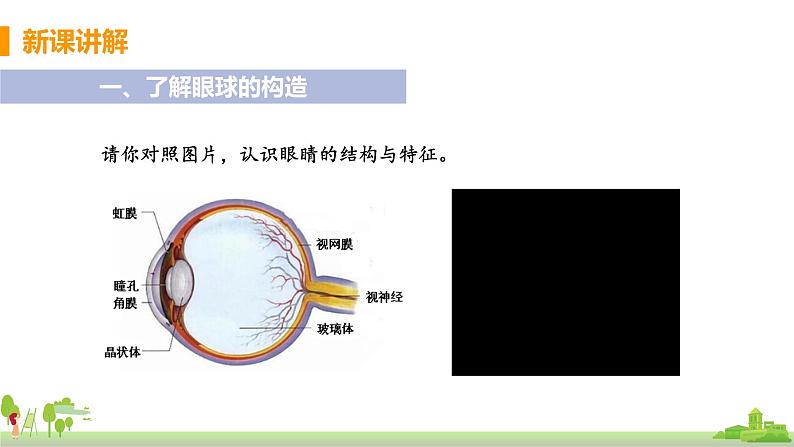 沪科物理八年级上册 4.6.1《眼睛及视力的矫正》PPT课件+素材05