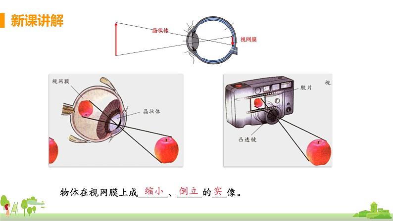 沪科物理八年级上册 4.6.1《眼睛及视力的矫正》PPT课件+素材07