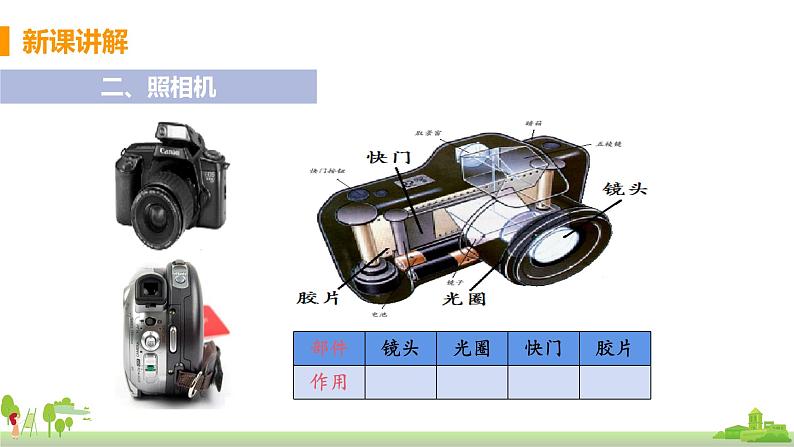 第6节 神奇的眼睛（第2课时 透镜的应用）第6页