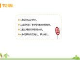 沪科物理八年级上册 6.3《弹力与弹簧测力计》PPT课件+素材