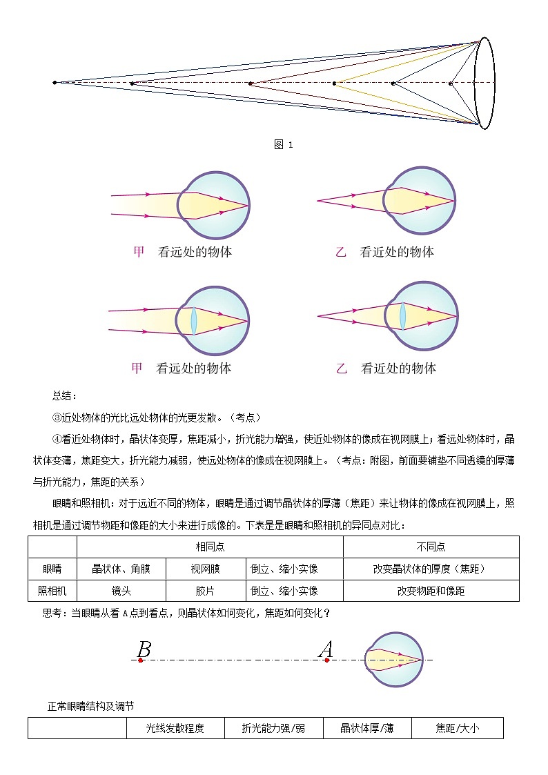 2020_2021学年八年级物理上册5.4眼睛和眼镜教案第3页