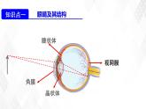 5.4眼睛和眼镜 课件+教案+练习