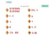 沪科版九年级上册物理 第17章习题课件
