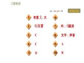 苏科版九年级下册物理 第17章习题课件