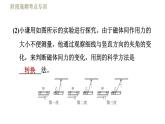 人教版九年级下册物理习题课件 第20章阶段高频考点专训    专训2    电与磁的探究