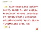 人教版九年级下册物理习题课件 第19章 阶段高频考点专训    专训1    电路故障的判断