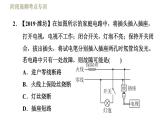 人教版九年级下册物理习题课件 第19章 阶段高频考点专训    专训1    电路故障的判断