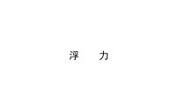 2021-2022学年人教版物理中考专题复习之浮力课件PPT