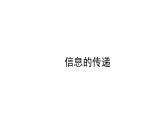 2021-2022学年人教版物理中考专题复习之信息的传递课件PPT