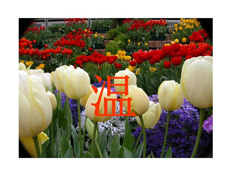 2021-2022学年人教版物理八年级上册3.1  温度 课件04