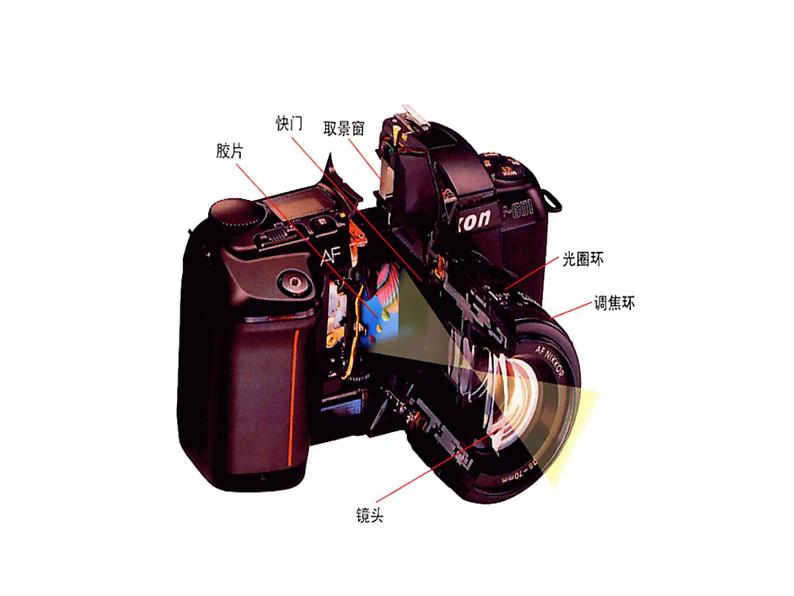 2021-2022学年人教版物理八年级上册5.2  生活中的透镜 课件05