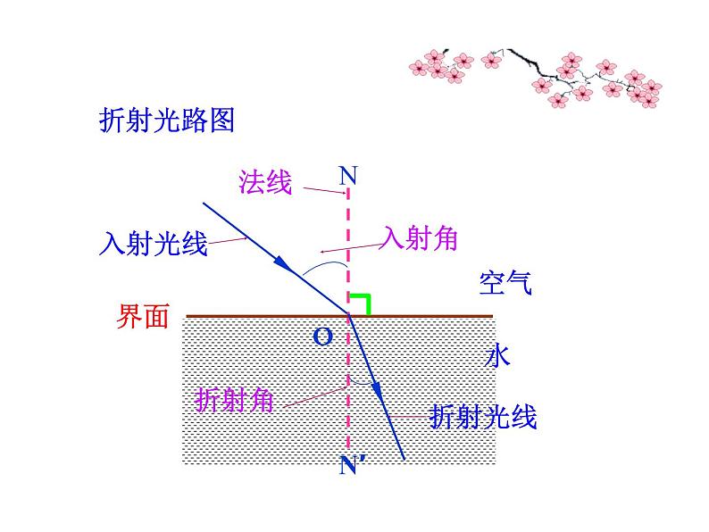 2021-2022学年人教版物理八年级上册4.4  光的折射 课件08