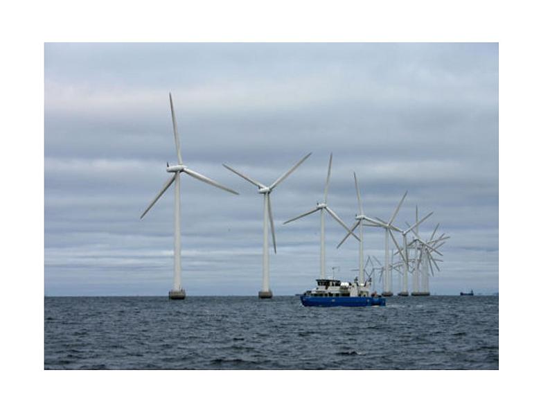 2021-2022学年人教版物理八年级上册6.4  密度与社会生活 课件07