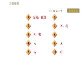 苏科版九年级下册物理课件 第16章 16.1.2磁感线与地磁场0