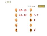 苏科版九年级下册物理课件 第16章 16.2.1电流的磁场0