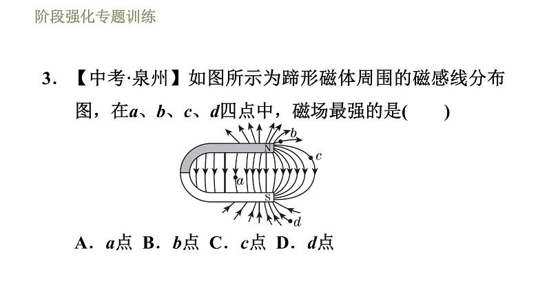 苏科版九年级下册物理课件 第16章 16.1阶段强化专题训练  专训2  磁感线和地磁场006