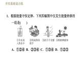 魯科版（五四學制）九年級下冊物理課件 第19章 19.6能量的轉(zhuǎn)化和守恒