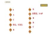 滬粵版九年級下冊物理習(xí)題課件 第20章 20.4能源、環(huán)境與可持續(xù)發(fā)展