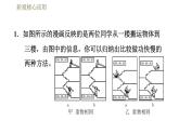 人教版八年级下册物理课件 第11章 阶段核心应用  专训  功率的探究