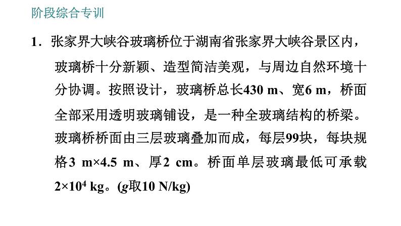 人教版八年级下册物理课件 第7章 阶段综合专训   有关重力大小的应用类型第3页