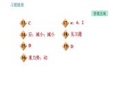 人教版八年级下册物理课件 第11章 11.4  机械能及其转化