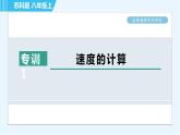 苏科版八年级上册物理习题课件 第5章 全章高频考点专训 专训1 速度的计算