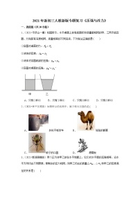 2021年新初三人教新版专题复习《压强与浮力》