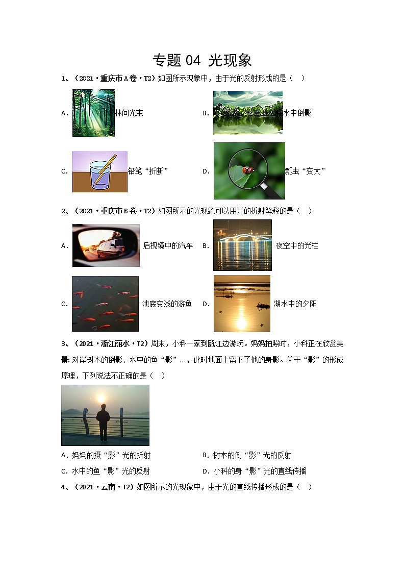 2021中考物理分类汇编（精简版） 专题04 光现象01