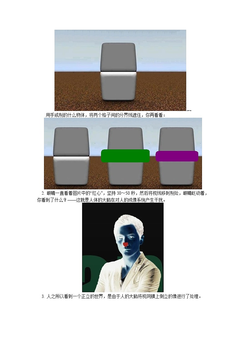 2020中考人教版物理 专题复习 教案：“眼见为虚”——光学现象(1)02