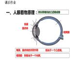 2020-2021学年人教版物理八年级上册第4节  眼睛和眼镜课件PPT