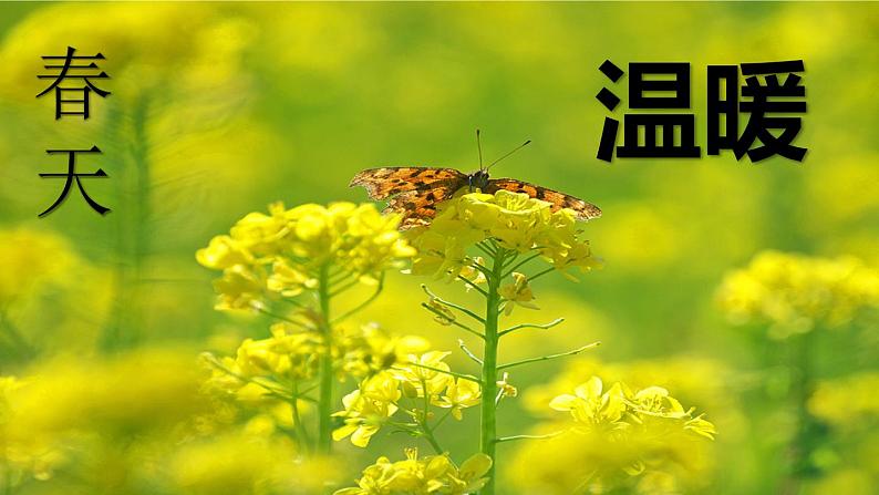 2020-2021学年人教版物理八年级上册第1节  温度课件PPT第2页