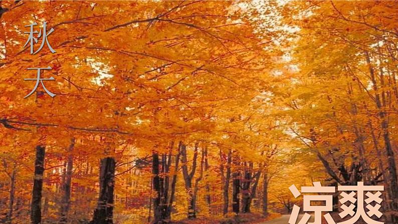 2020-2021学年人教版物理八年级上册第1节  温度课件PPT第4页