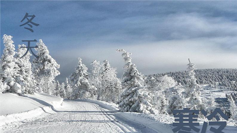 2020-2021学年人教版物理八年级上册第1节  温度课件PPT第5页