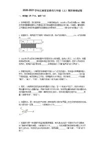 2020-2021学年江西省宜春市八年级（上）期末物理试卷