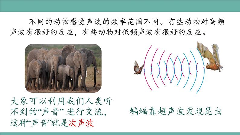 2021-2022学年人教版八年级物理上册精品课件课时2.3  声的利用（含内嵌式素材）第6页