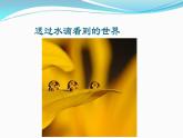 人教版八年级物理（上）第四章《光的折射》课件
