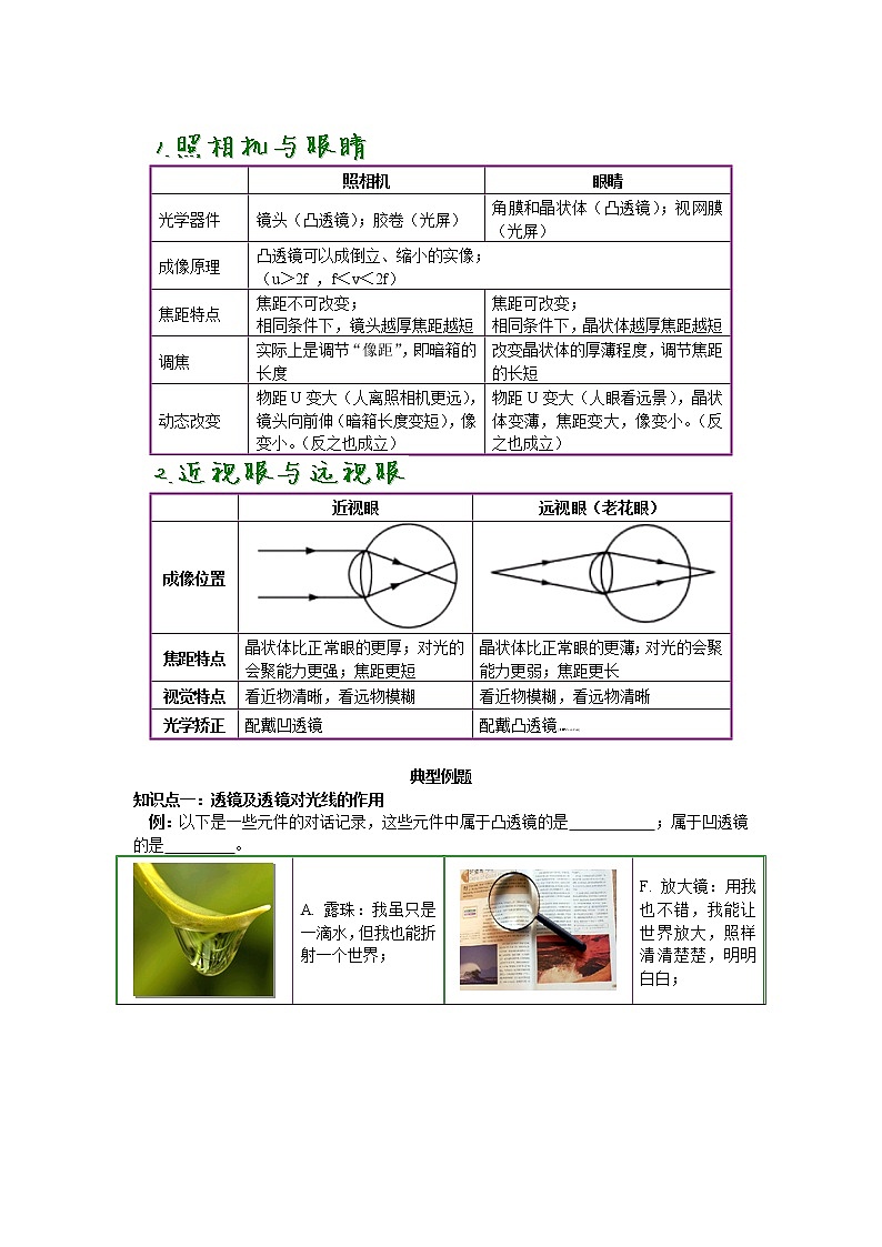 2020中考人教版物理 专题复习 教案：透镜及其应用复习(1)第3页