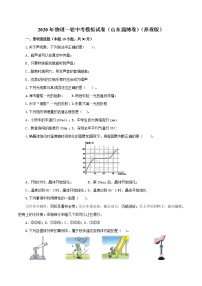 山东省淄博市2021年中考物理一模试卷（解析版及原卷版）