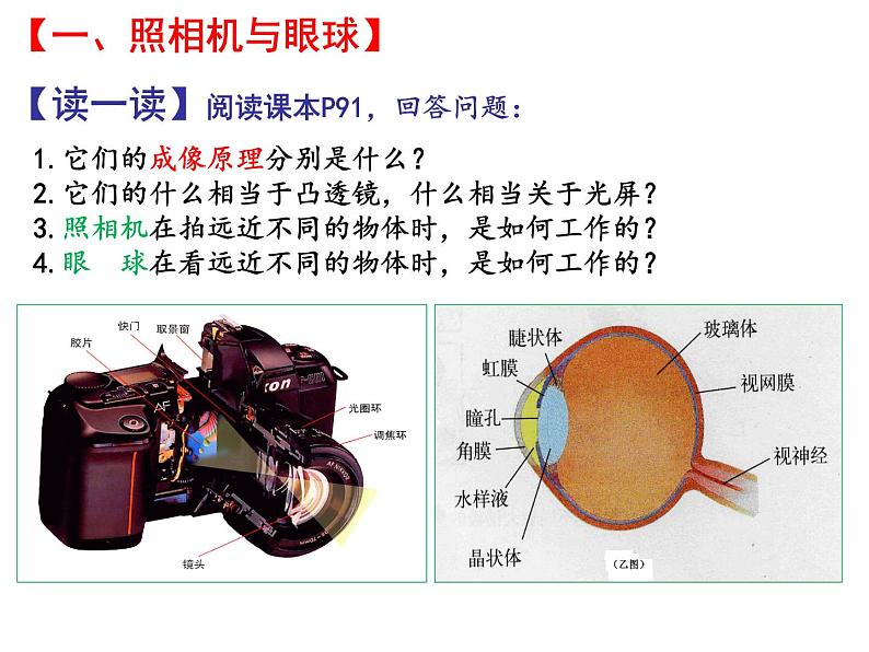 4.4照相机与眼球 视力的矫正 课件-2021-2022学年八年级物理苏科版上册03