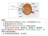 4.4照相机与眼球 视力的矫正 课件-2021-2022学年八年级物理苏科版上册