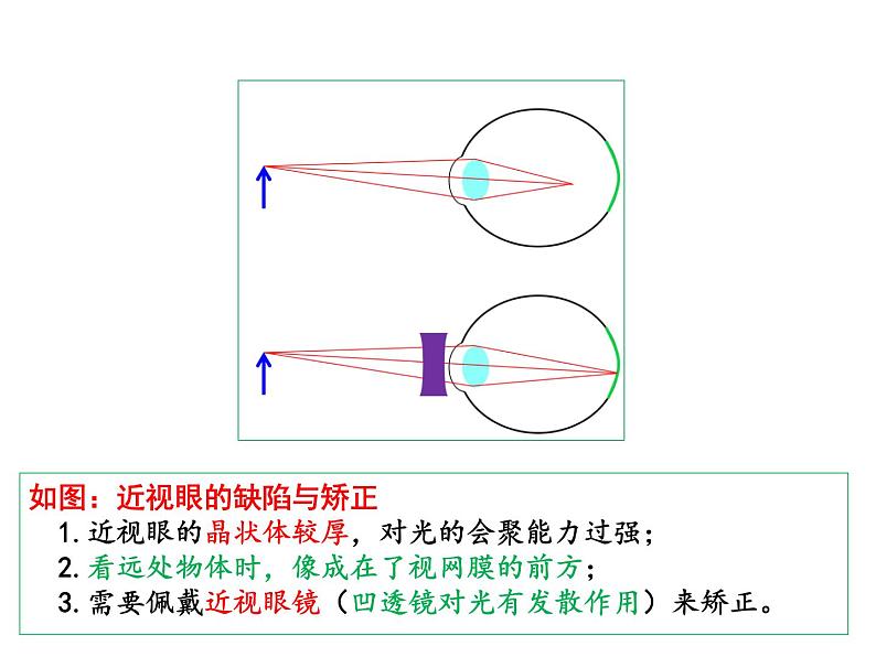 4.4照相机与眼球 视力的矫正 课件-2021-2022学年八年级物理苏科版上册07