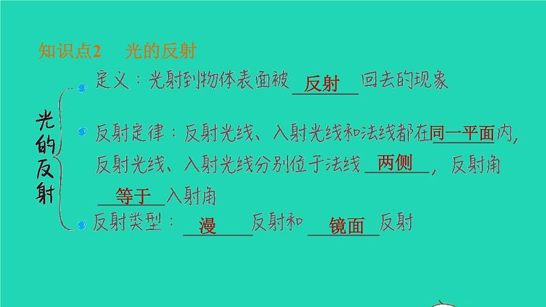 福建省2021年中考物理一轮复习第3课时光的反射平面镜成像基础知识梳理课件第5页