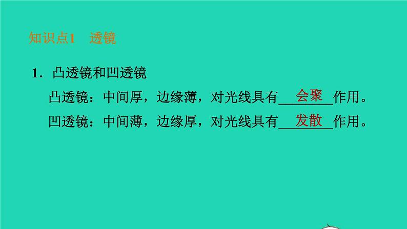 福建省2021年中考物理一轮复习第5课时凸透镜成像基础知识梳理课件第4页