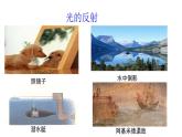 4.2光的反射课件PPT