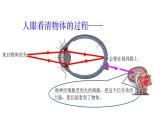 5.4眼睛和眼镜课件PPT