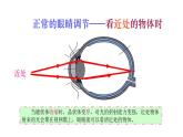 5.4眼睛和眼镜课件PPT