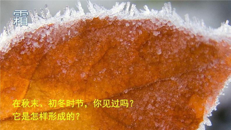 北师大版八年级上册物理1.4《升华和凝华》课件+素材04